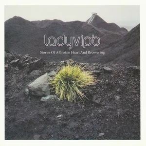 Stories of a broken heart and recovering